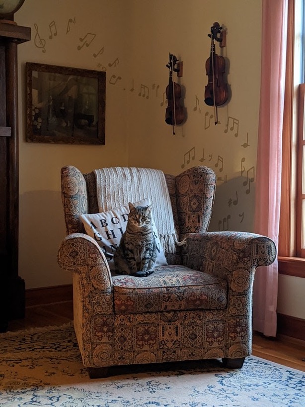 A cat sitting in a big armchair